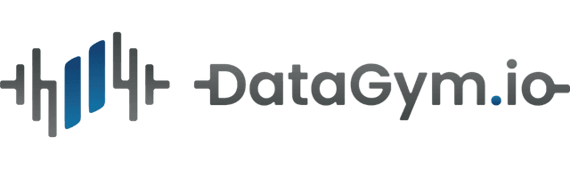datagym.techcreator.io logo